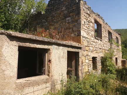 Medium img 20200801 151037
