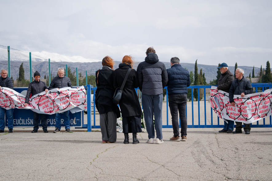 Large 20260319 nnv 10373