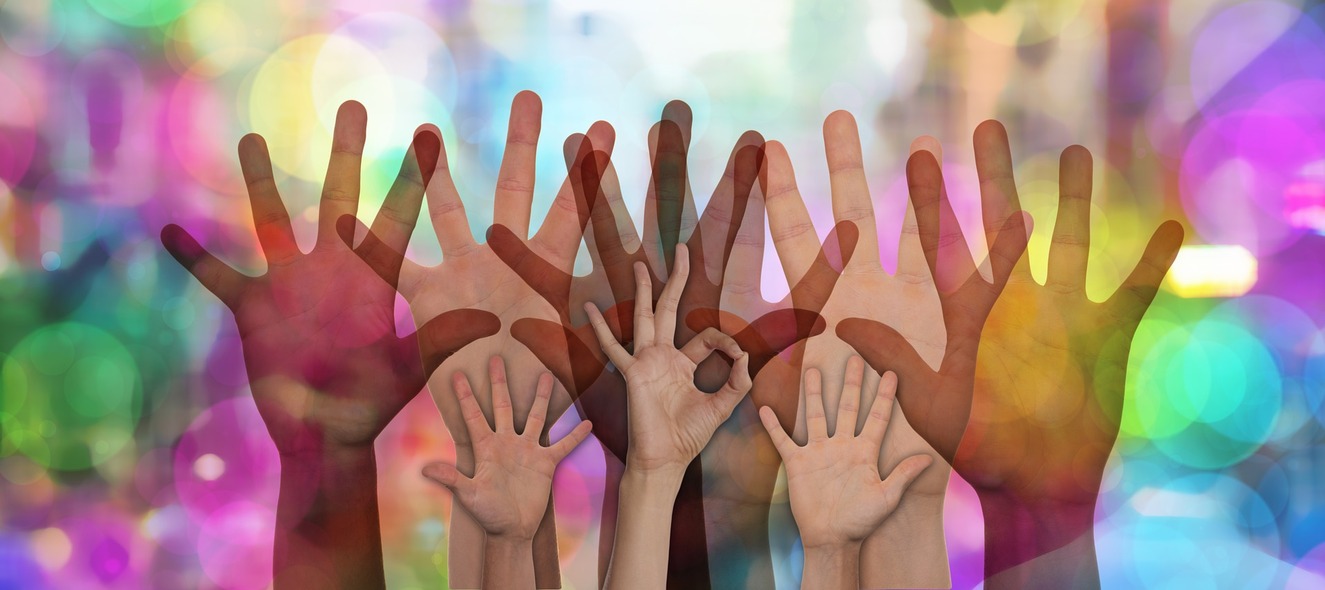 Large volunteers 2654004 1920